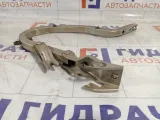 Петля багажника левая Hyundai Accent 7921025000