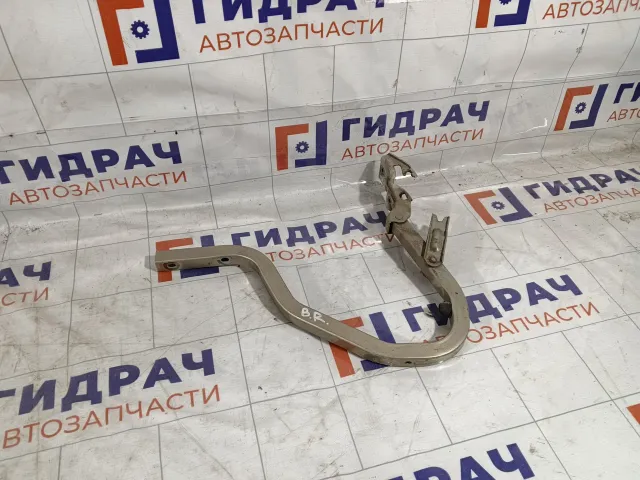 Петля багажника правая Hyundai Accent 7922025000