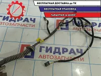 Проводка двери передней правой Hyundai Accent 2 9182025301.