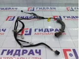 Проводка двери передней правой Hyundai Accent 9182025301