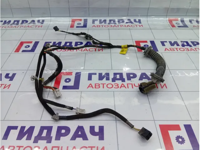 Проводка двери передней правой Hyundai Accent 9182025301