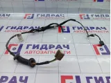 Проводка двери задней правой Hyundai Accent 9186025020