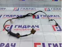 Проводка двери задней правой Hyundai Accent 9186025020