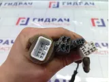 Проводка двери задней правой Hyundai Accent 9186025020
