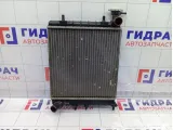 Радиатор основной Hyundai Accent 2531025050