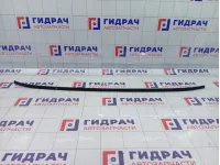 Молдинг крыши левый Hyundai Accent 8725125000