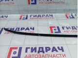 Молдинг крыши левый Hyundai Accent 8725125000