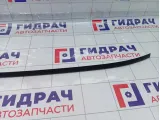 Молдинг крыши левый Hyundai Accent 8725125000