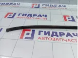 Молдинг крыши левый Hyundai Accent 8725125000