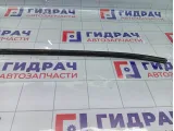 Молдинг крыши левый Hyundai Accent 8725125000