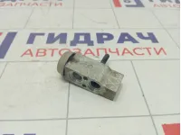 Клапан кондиционера Hyundai Accent 976041C100