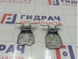 Петли двери передней правой Hyundai Accent