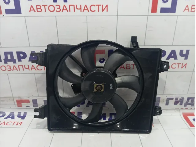 Вентилятор радиатора Hyundai Accent 2538025000