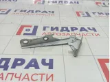 Петля капота правая Hyundai Accent 7912025001