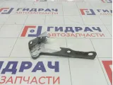 Петля капота правая Hyundai Accent 7912025001