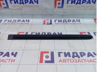 Накладка двери задней левой Hyundai Accent (LC) 8773125000CA