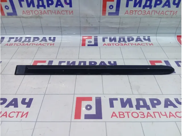 Накладка двери задней левой Hyundai Accent (LC) 8773125000CA