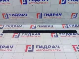 Накладка двери передней правой Hyundai Accent (LC) 8772225000CA