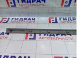 Накладка двери передней правой Hyundai Accent (LC) 8772225000CA