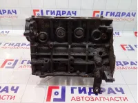 Блок цилиндров Hyundai Accent (LC) 2110026602