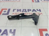 Петля капота правая Hyundai Accent (LC) 7912025001