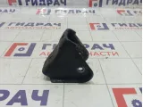 Кронштейн двигателя Hyundai Accent (LC) 4317522650