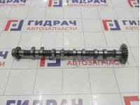 Распредвал выпускной Hyundai Accent (LC) 2420026004