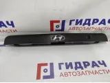 Накладка крышки багажника Hyundai Accent 2 873712500.