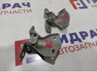 Петли двери задней левой Hyundai Accent 2 . Пара.