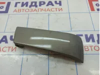 Планка под фонарь левая Hyundai Accent 2 7155325300. Дефект.