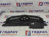 Решетка радиатора Hyundai Avante (MD) 863503X000
