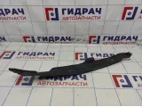 Пыльник крыла передний левый Hyundai Avante (MD) 841163X000