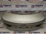 Крышка багажника Hyundai Avante (MD) 692003X070