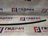 Молдинг крыши левый Hyundai Avante (MD) 872303X100
