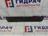 Накладка порога переднего правого внутренняя Hyundai Avante (MD) 858823X000RY