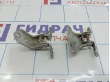 Петли двери передней правой Hyundai Avante (MD)