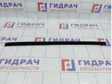 Уплотнитель стекла двери задней левой Hyundai Avante (MD) 832313X000