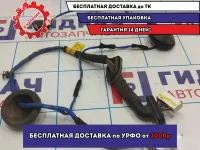 Проводка(коса) двери задней левой Hyundai Avante (MD) 916603X021.