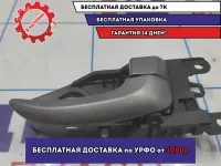 Ручка двери внутрення правая Hyundai Avante (MD) 826203X000RY.