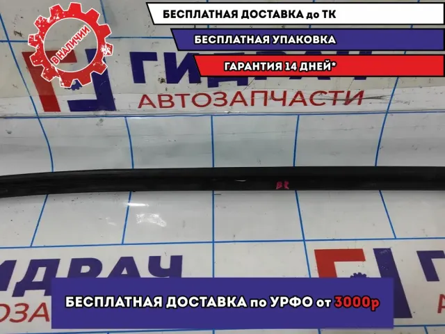 Уплотнитель стекла двери задней правой Hyundai Avante (MD) 832413X000.