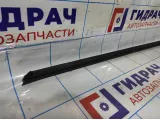 Уплотнитель стекла двери передней правой Hyundai Avante (MD) 822413X000.