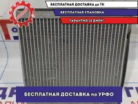 Испаритель кондиционера Hyundai Avante (MD) 971393X000.