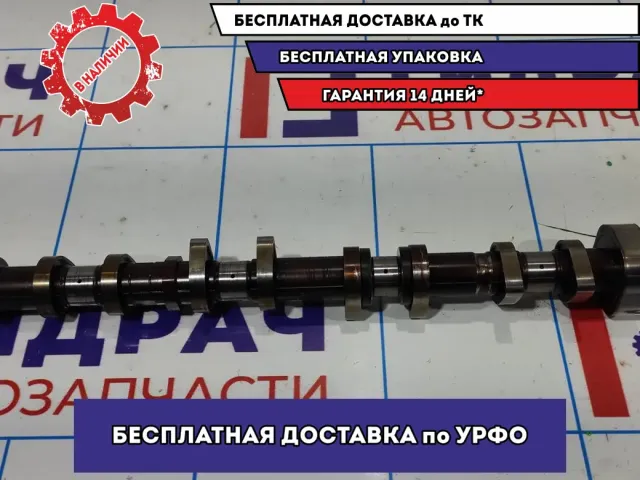 Распредвал выпускной Hyundai Avante (MD) 242002B665.