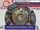 Кулак поворотный передний правый Hyundai Creta 51716-D8000.