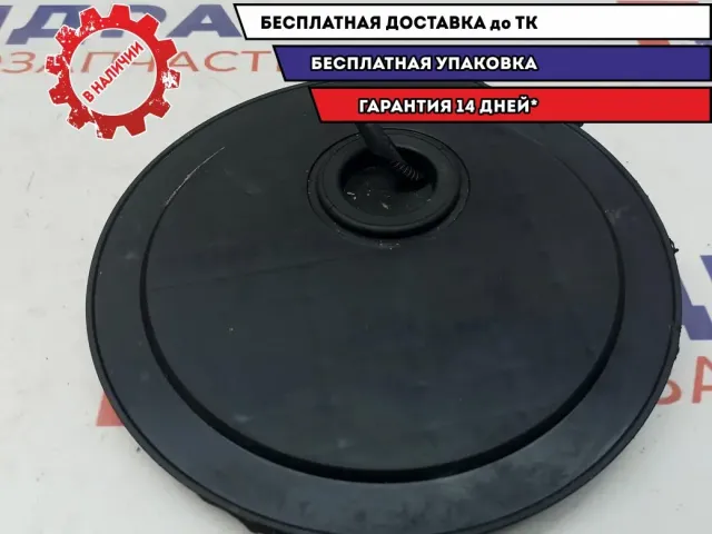 Крышка топливного насоса Hyundai Creta 31107-C9000.