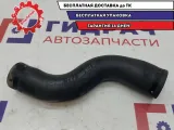 Шланг топливный Hyundai Creta 31036-M0000.