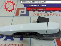 Ручка двери задняя левая Hyundai Creta 83651-M0010.