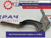 Петля капота правая Hyundai Creta 79120-A0000.