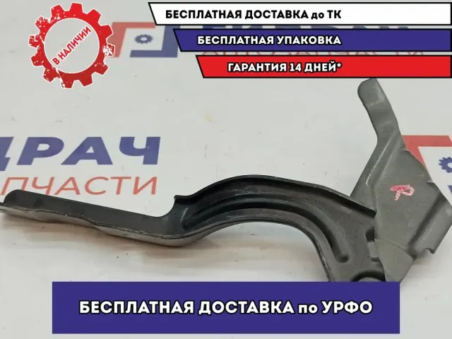 Петля капота правая Hyundai Creta 79120-A0000.