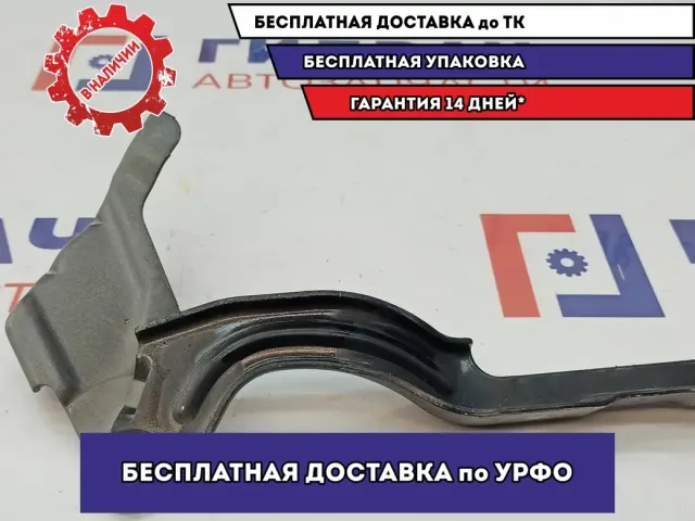 Петля капота левая Hyundai Creta 79110-A0000.